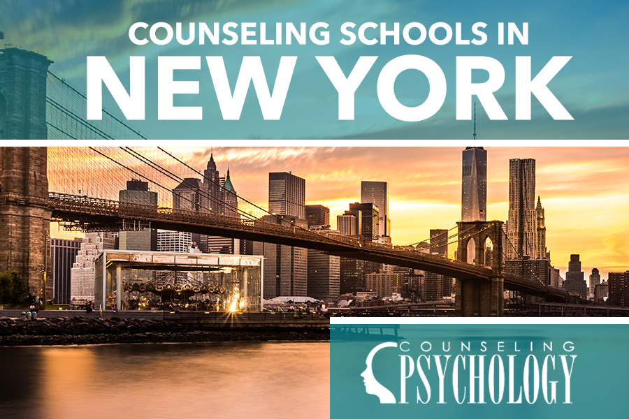 counseling psychology phd programs in new york