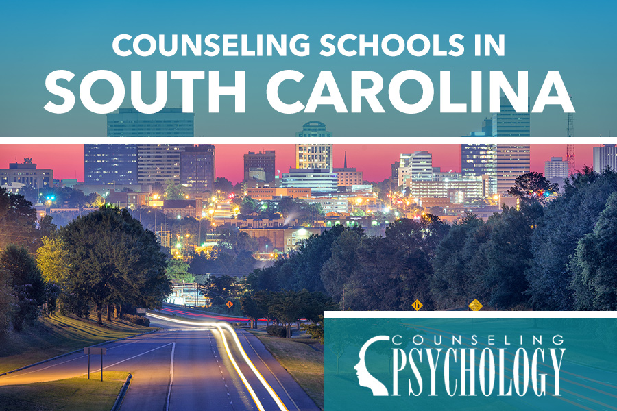 Best Online Counseling Programs in South Carolina