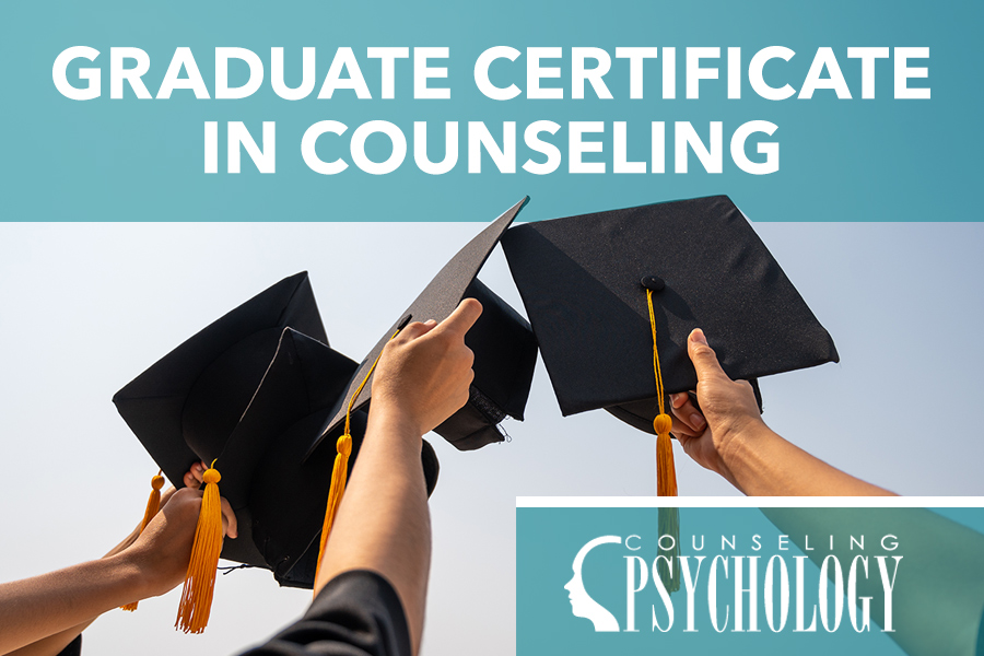 2023 Best Online Graduate Certificate Programs In Counseling